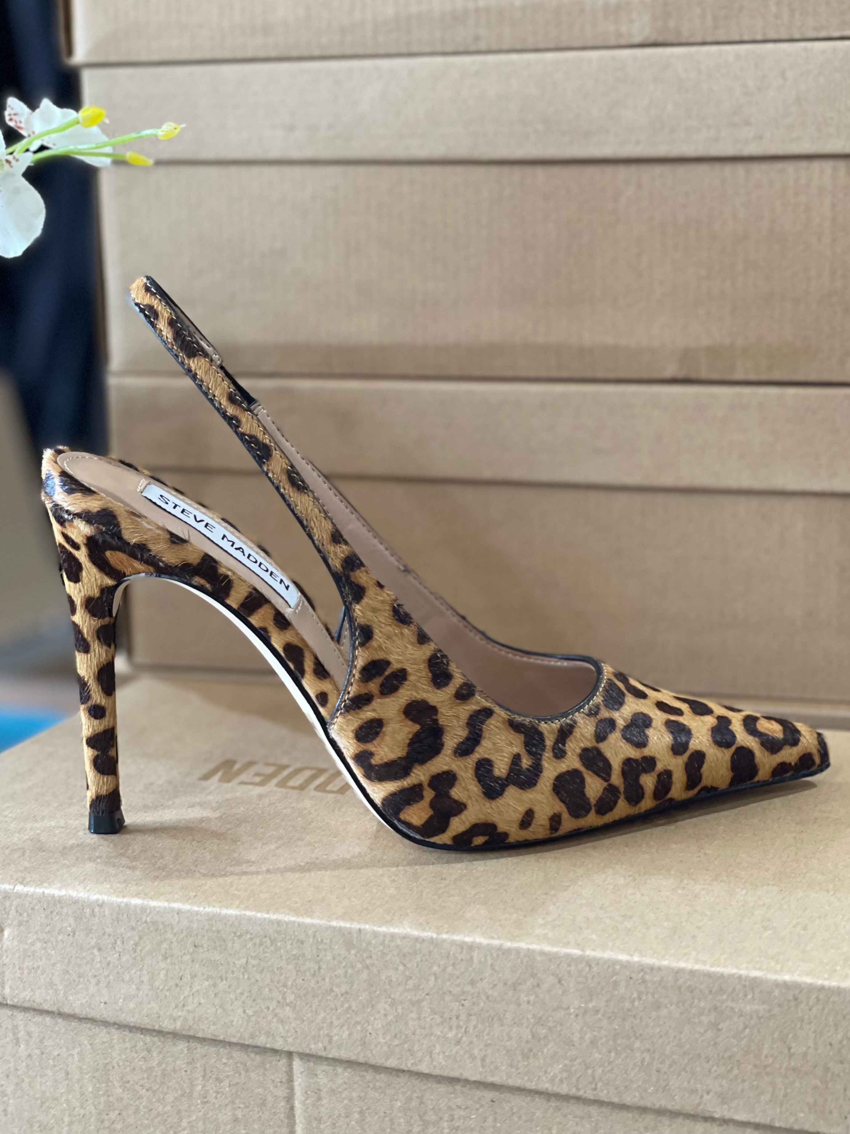 Steve Madden -Reyes Leopard- – Queen's Boutique