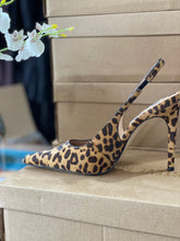 Load image into Gallery viewer, Steve Madden -Reyes Leopard-