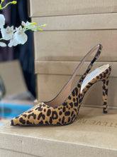 Load image into Gallery viewer, Steve Madden -Reyes Leopard-