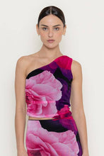Load image into Gallery viewer, Rose Mesh Skirt and Top Set