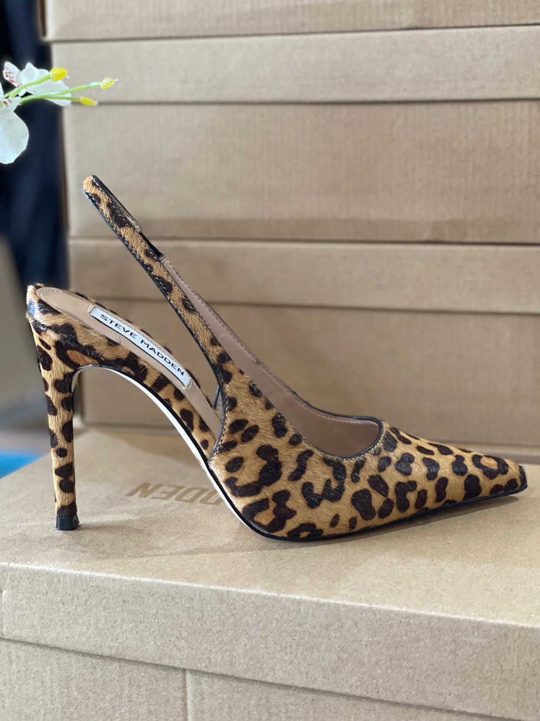 Steve Madden -Reyes Leopard-